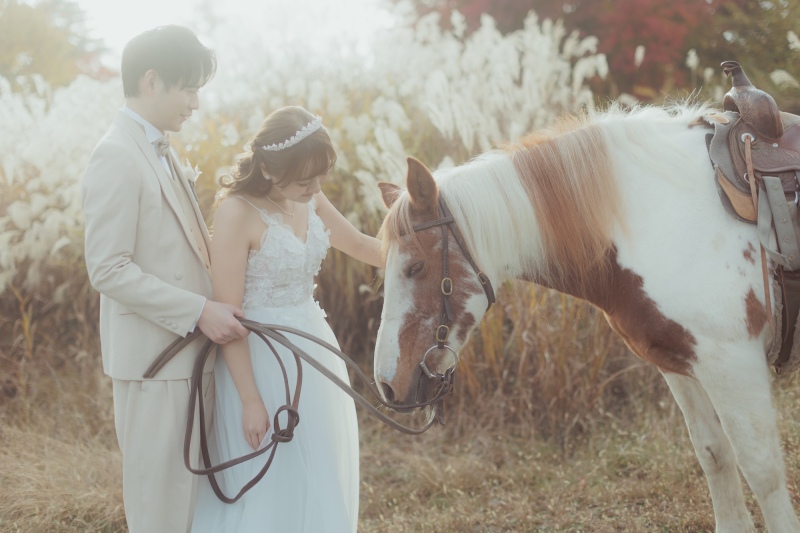お馬さんにも感謝