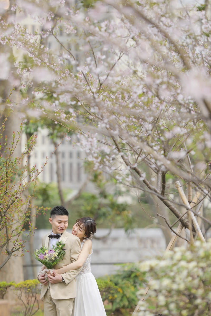 桜がもうすぐ満開です★