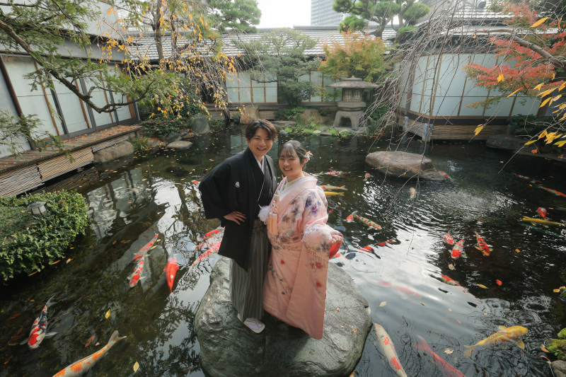 鯉がたくさんいる池で