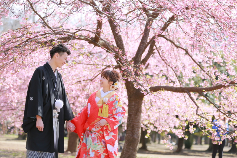 綺麗に咲いてます