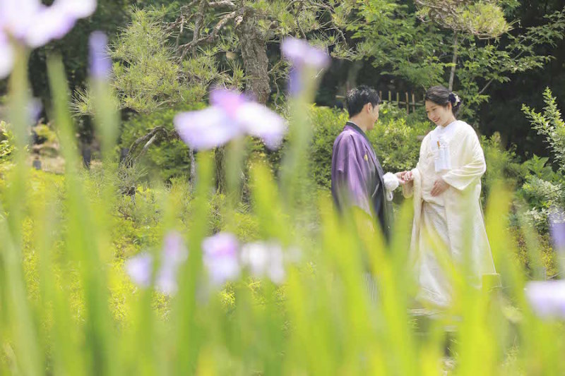梅雨ならではのお花！