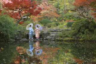 紅葉のピークがきました♪