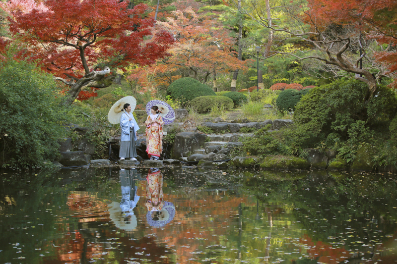 紅葉のピークがきました♪