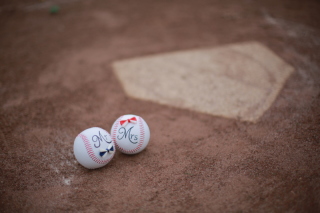 庭園＋思い出の場所