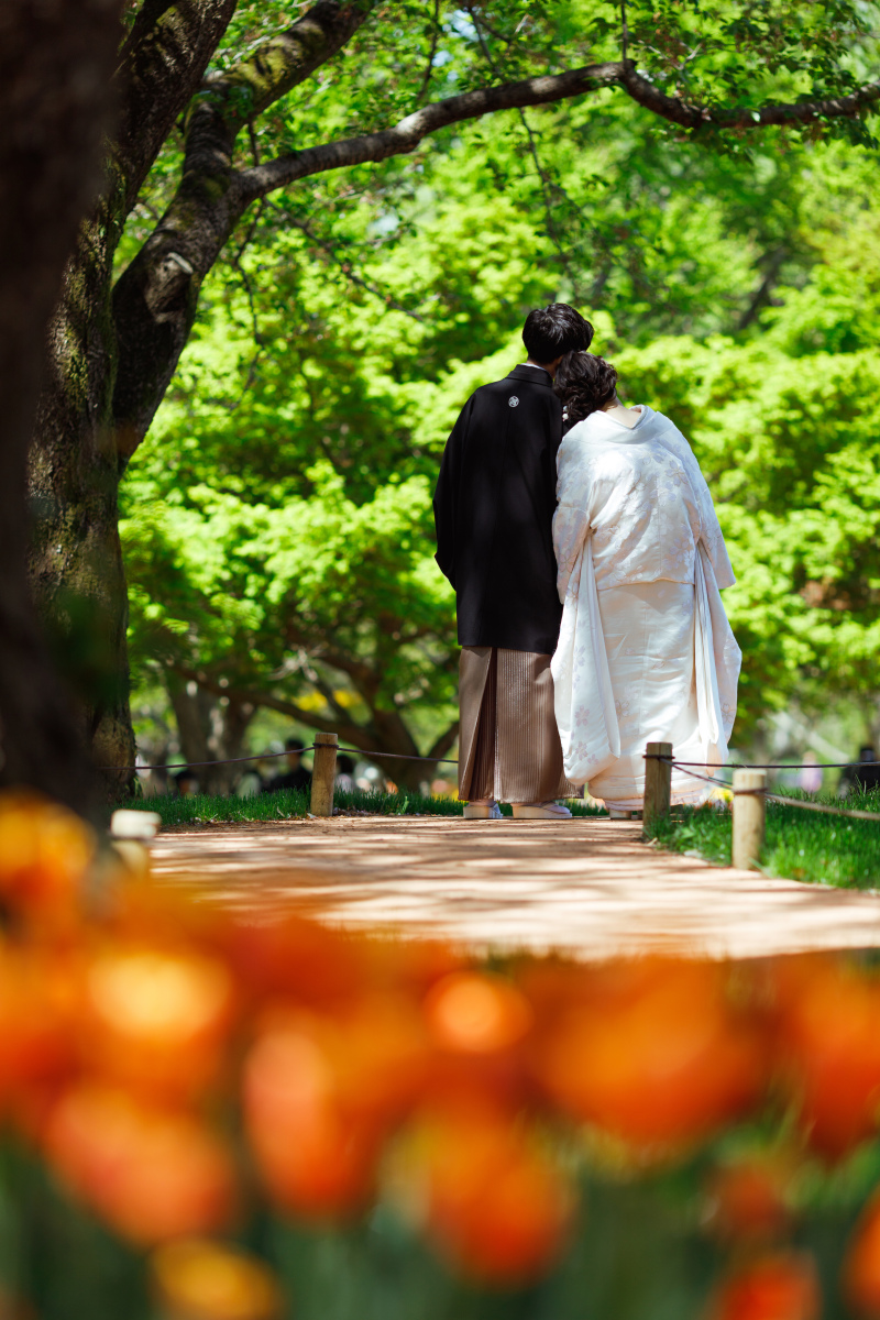 綺麗な木漏れ日の中で