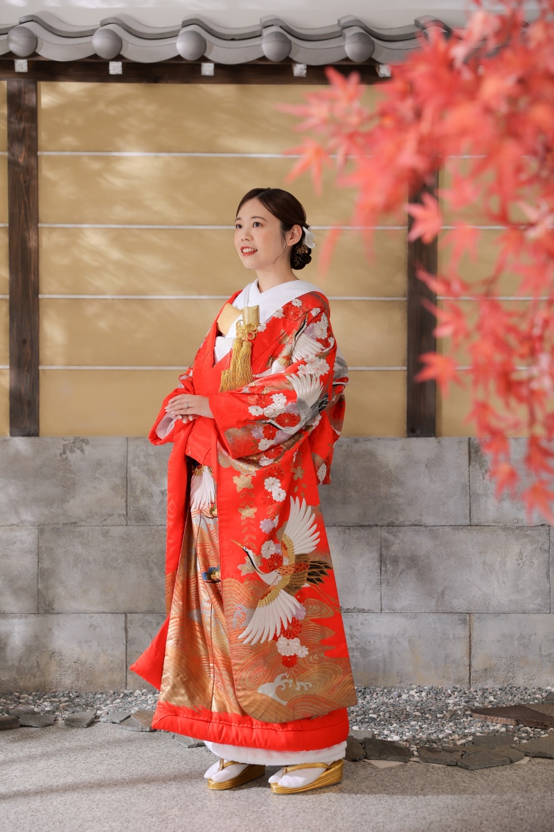 外でお散歩しているかのように写真