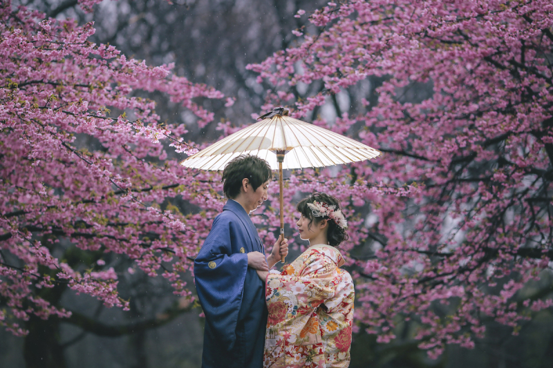 桜ロケーション