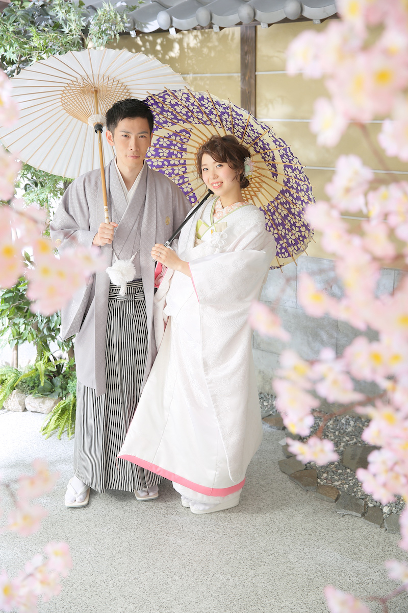 スタジオの桜は満開です♪