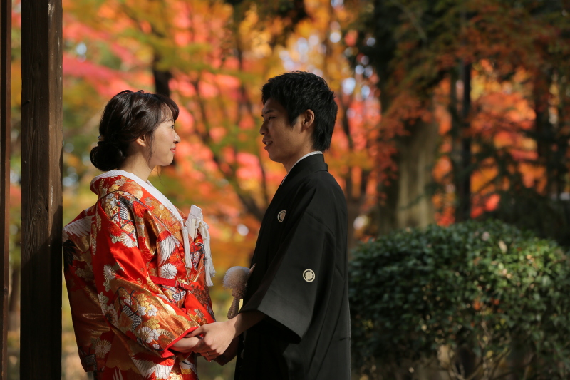 高コントラスト