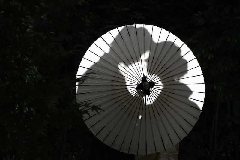 撮りたい写真、お聞かせください！