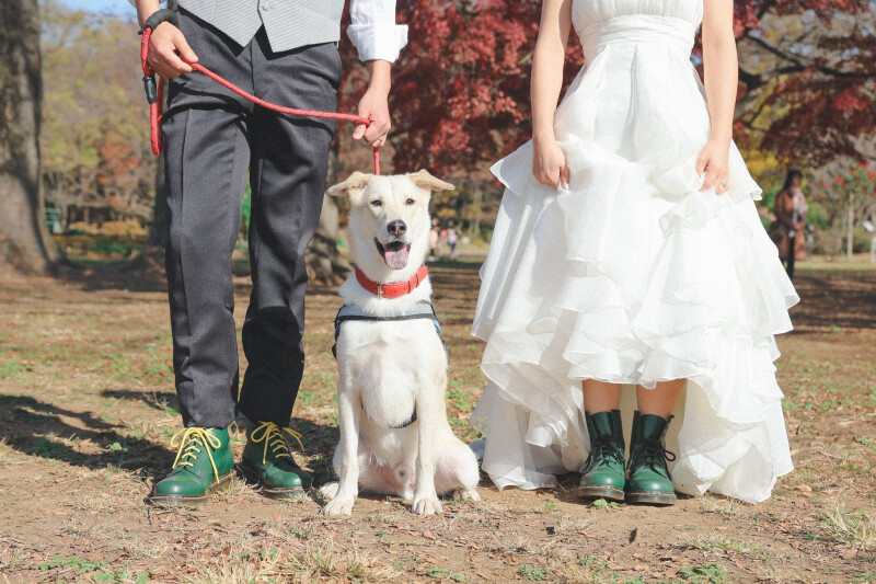 STUDIO AQUA 新宿店(スタジオAQUA)_ペットと一緒に撮影できる