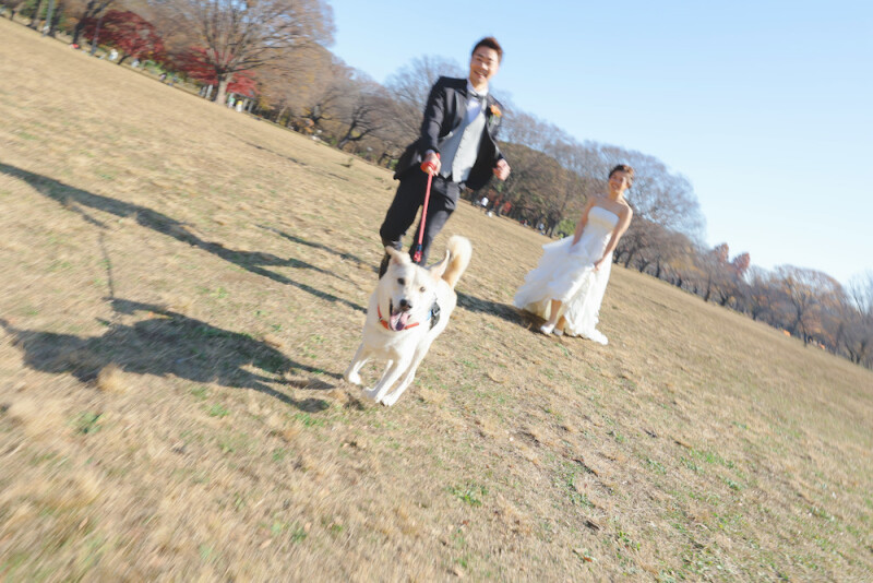 STUDIO AQUA 新宿店(スタジオAQUA)_ペットと一緒に撮影できる