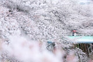 STUDIO AQUA 新宿店(スタジオAQUA)_おすすめ撮影