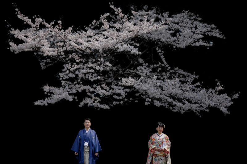 これから桜の季節ですね。やわらかな光に包まれた春の撮影にぴったりの時期です。ご予約承っておりますので、気になる方はぜひお気軽にお問い合わせください。春の思い出を写真に残しましょう今です！ぜひ今春へ！!