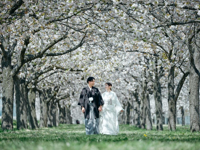 満開の桜に包まれて、ふたりの歩幅がそっと重なる。静かな春に溶け込む、やわらかな愛の時間。