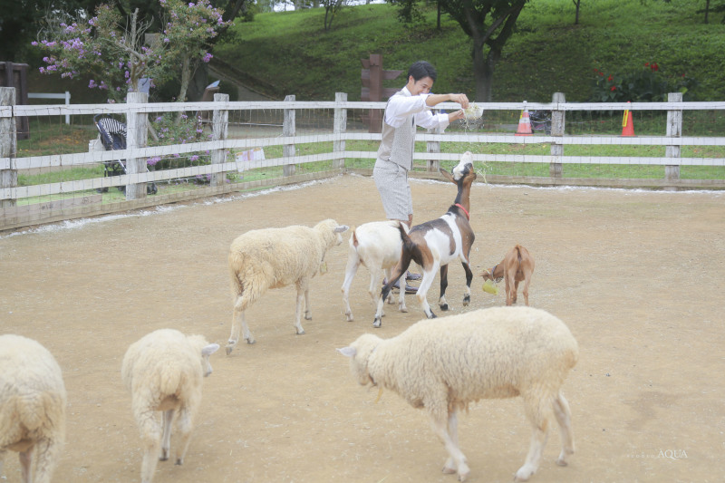 餌ちょーだいpart2