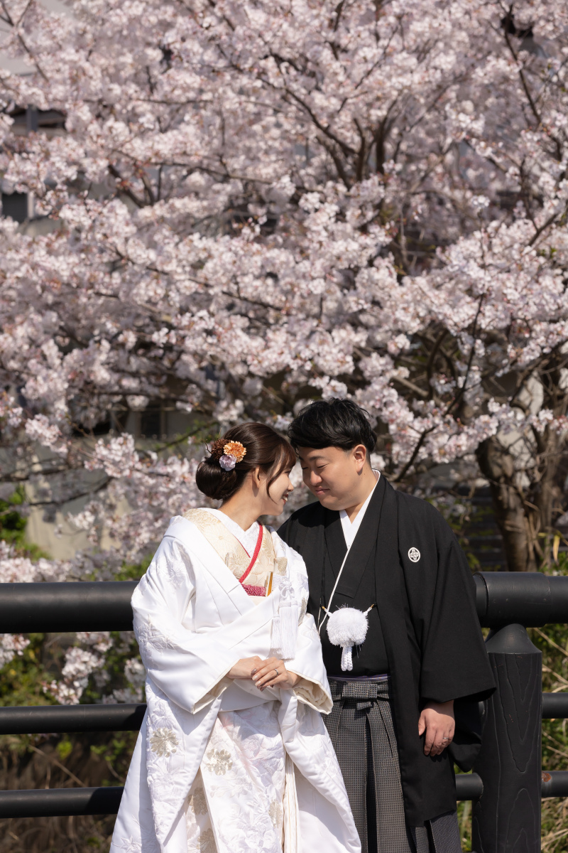 桜ロケーション