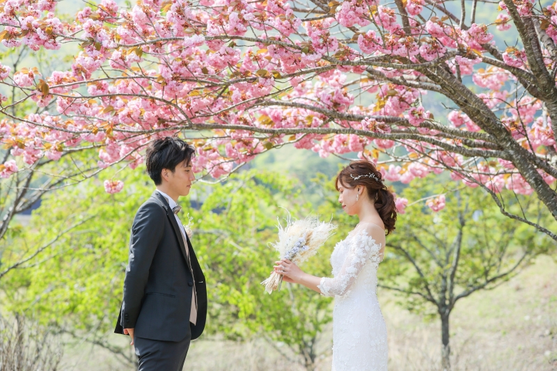 桜と緑に囲まれて