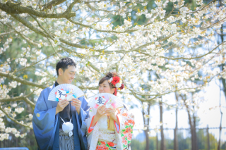 たくさんのお花と