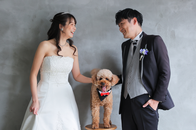 ワンちゃん登場