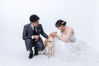 洋装スタジオwithわんちゃん