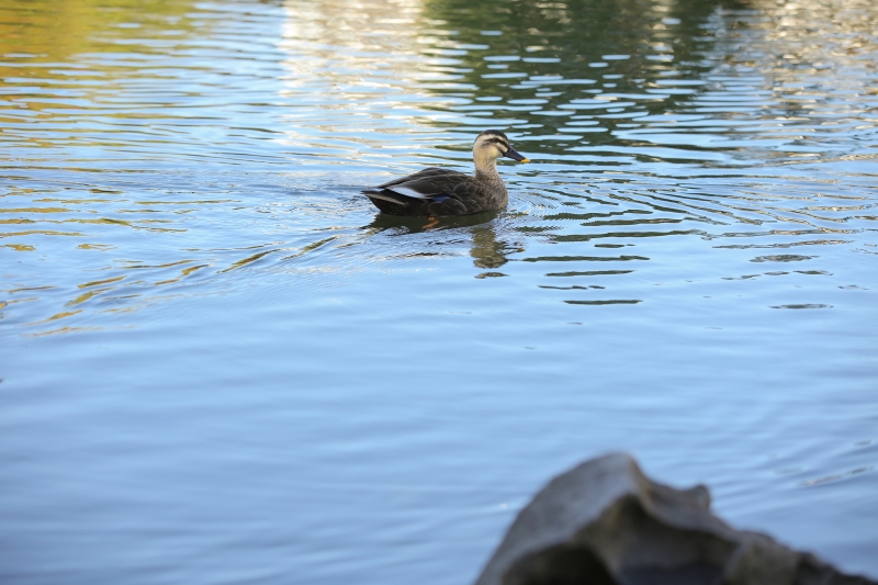 その時を思い出す1枚を、、