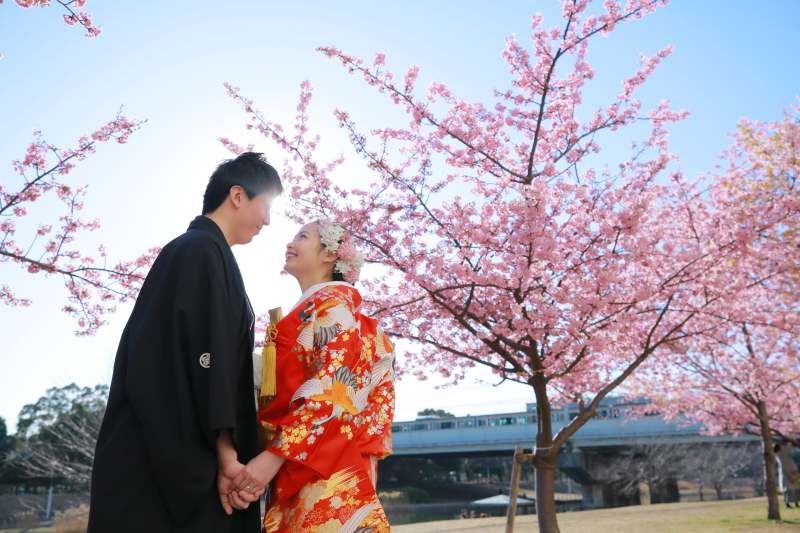 和装ロケ〜河津桜〜4