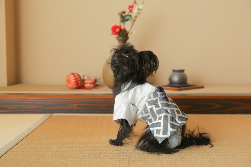 屋内庭園スタジオ