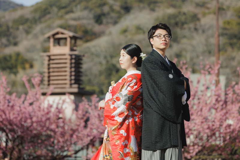 桜スポットへ！