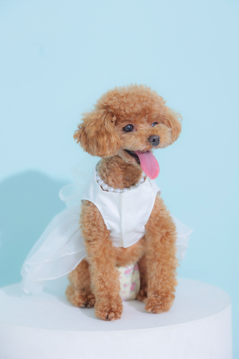 おめかしショット