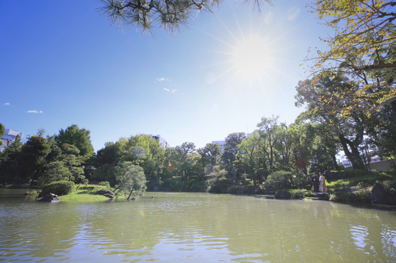 台風一過の日本庭園