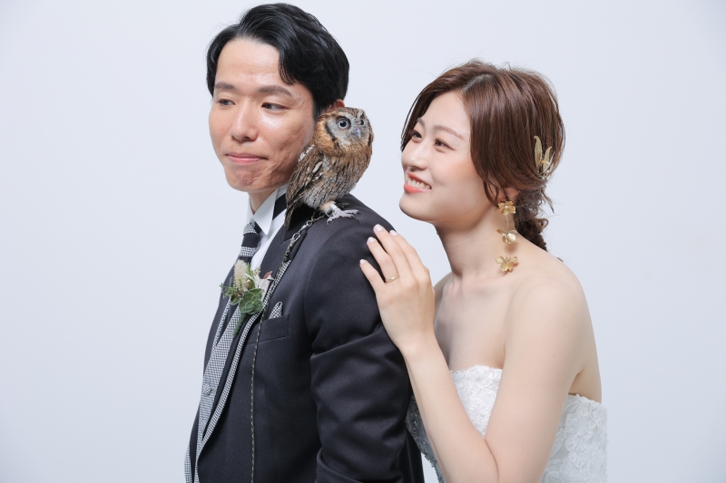 実はフクロウさんと一緒でした^^