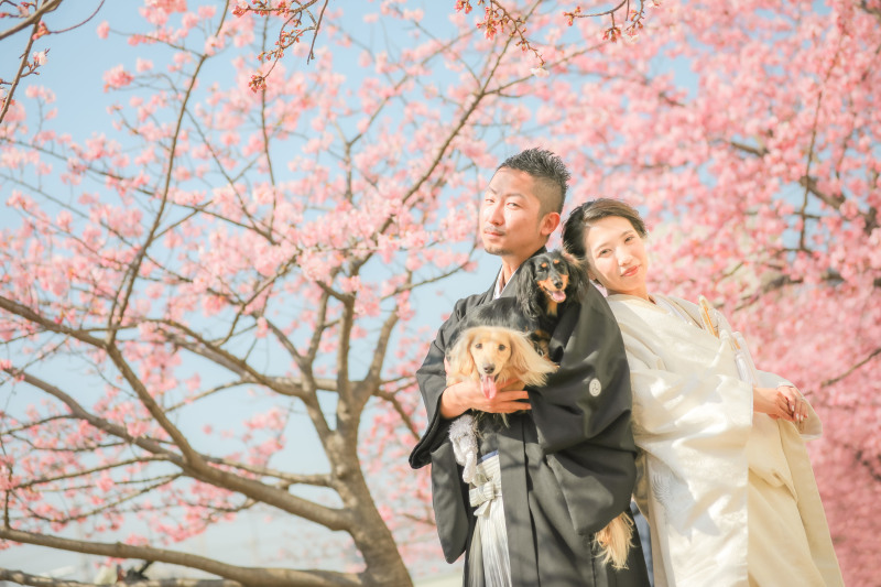 河津桜+屋内庭園プラン