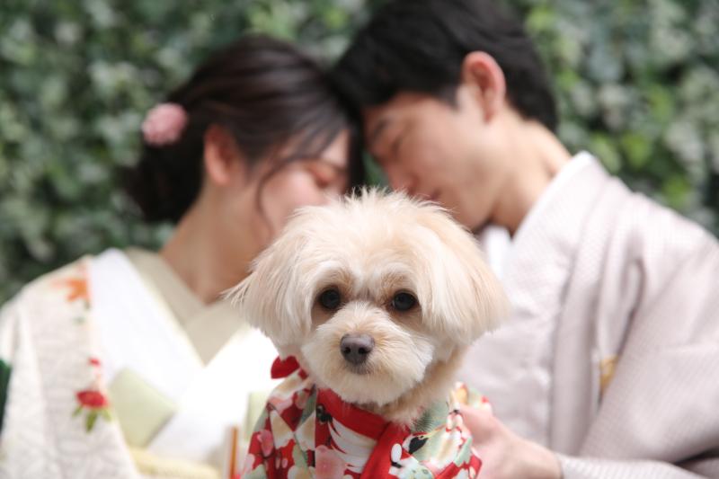 屋内庭園スタジオ