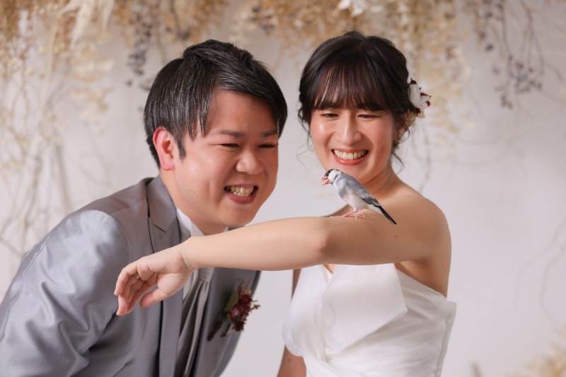 ペット撮影は浅草店で！