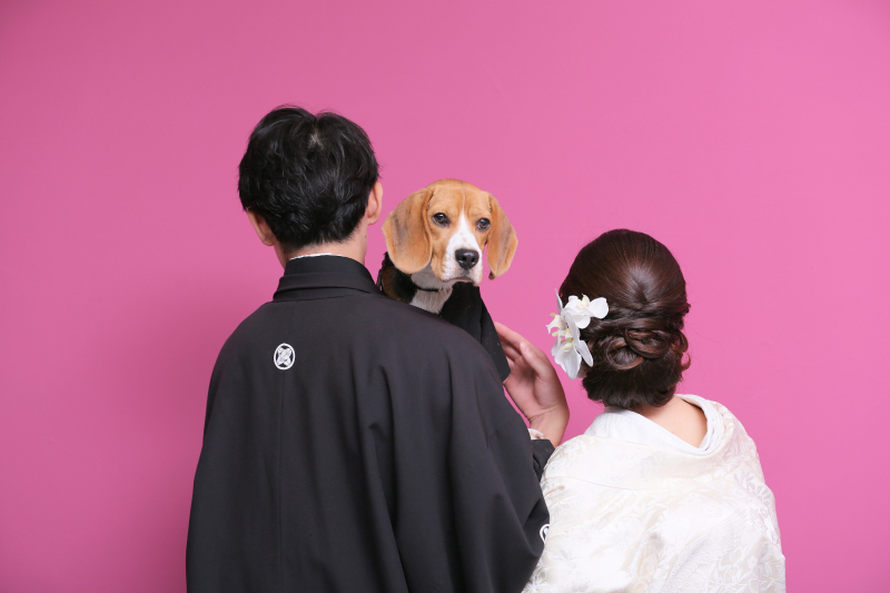 ペットと一緒に撮影できちゃいます！