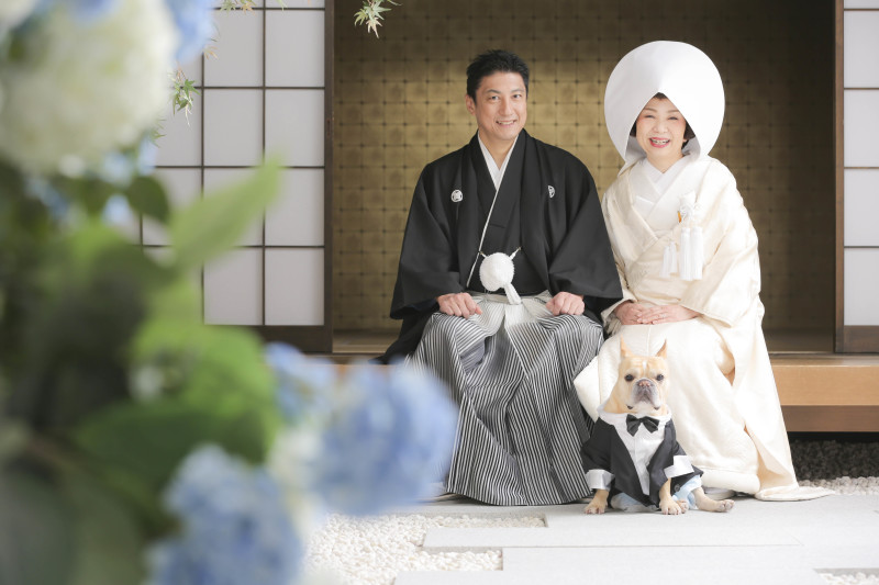 ワンちゃんと屋内庭園撮影