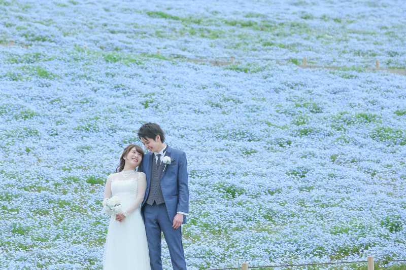 一面広がるブルーの世界