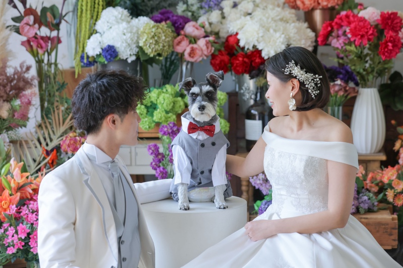 実は、、わんちゃんも！