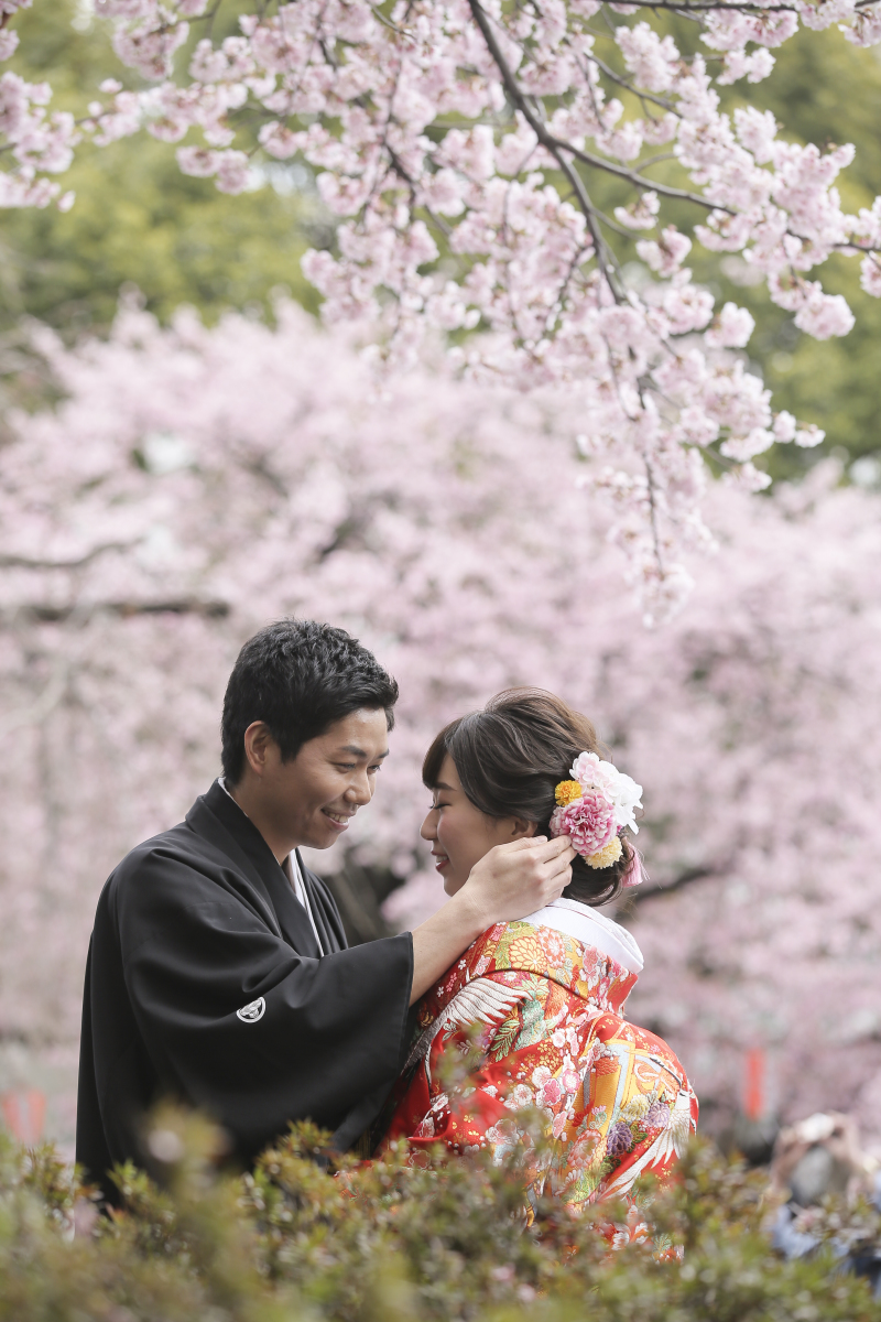 今年の桜の見頃は...