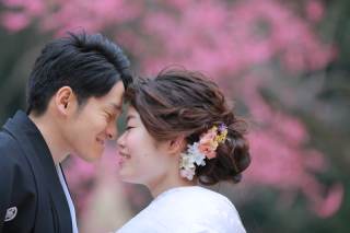 肥後細川庭園〜梅の花と和室のある庭園〜