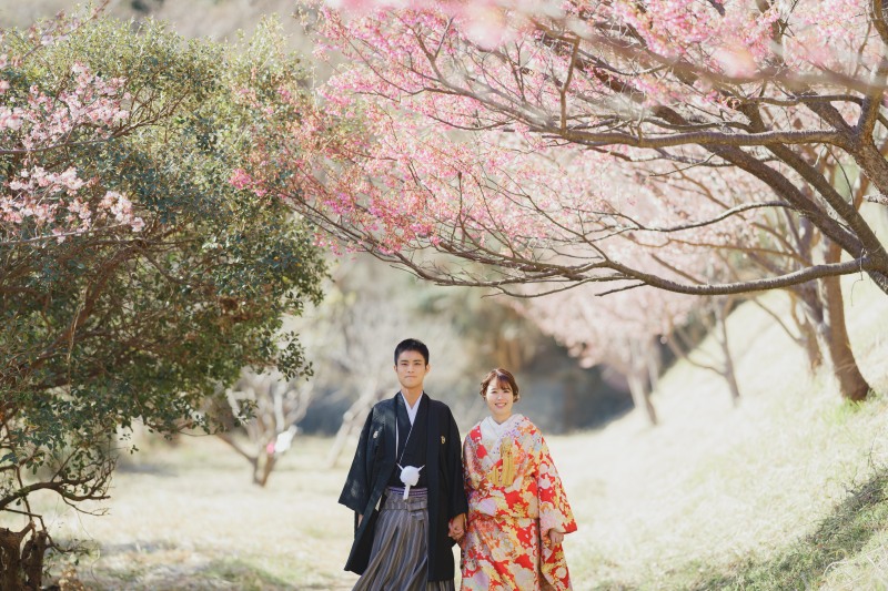 河津桜の魅力をお届けします!