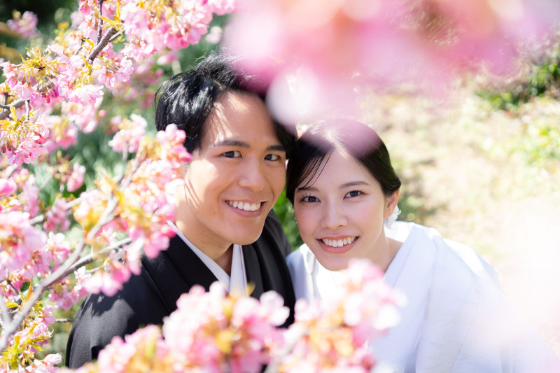 桜をのぞくと、、