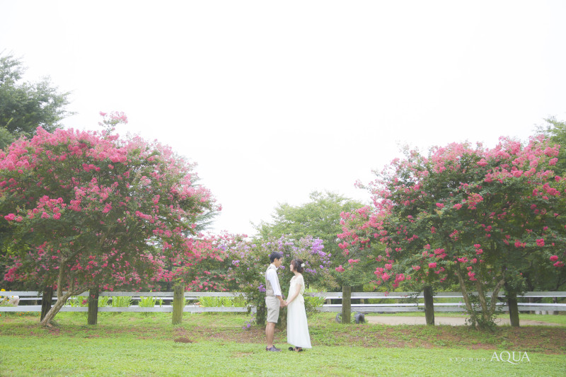 お花と撮りたい方にお薦め！