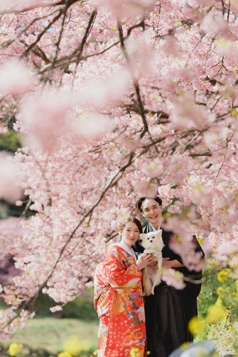 ワンちゃんと一緒に！和装河津ロケーション
