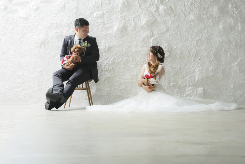 ワンちゃんとスタジオ