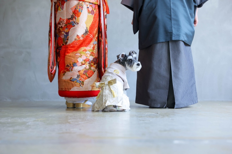 わんちゃんと一緒に