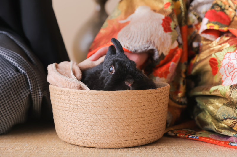 最後にうさちゃん