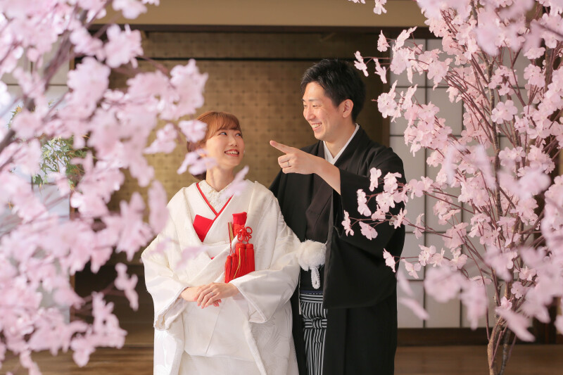 スタジオの中で桜撮影