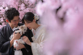 ペットと撮影屋内庭園スタジオ